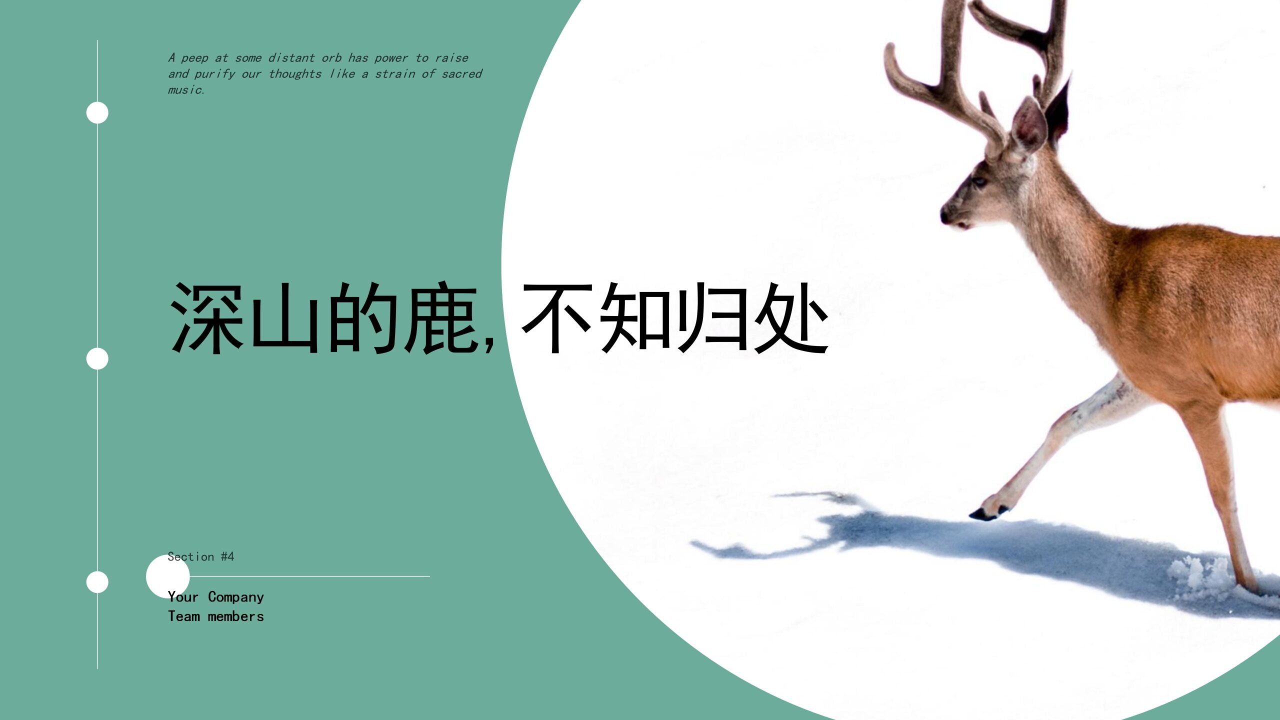 “深山的鹿，不知归处”创意清新画册PPT模板下载-8PPT