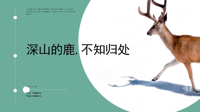 “深山的鹿，不知归处”创意清新画册PPT模板下载-8PPT