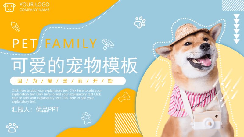 宠物狗狗背景的杂志风宠物店介绍PPT模板-8PPT