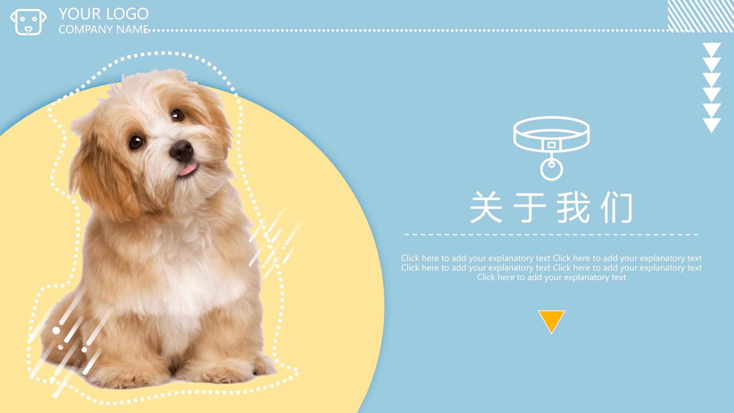图片[3]-宠物狗狗背景的杂志风宠物店介绍PPT模板-8PPT