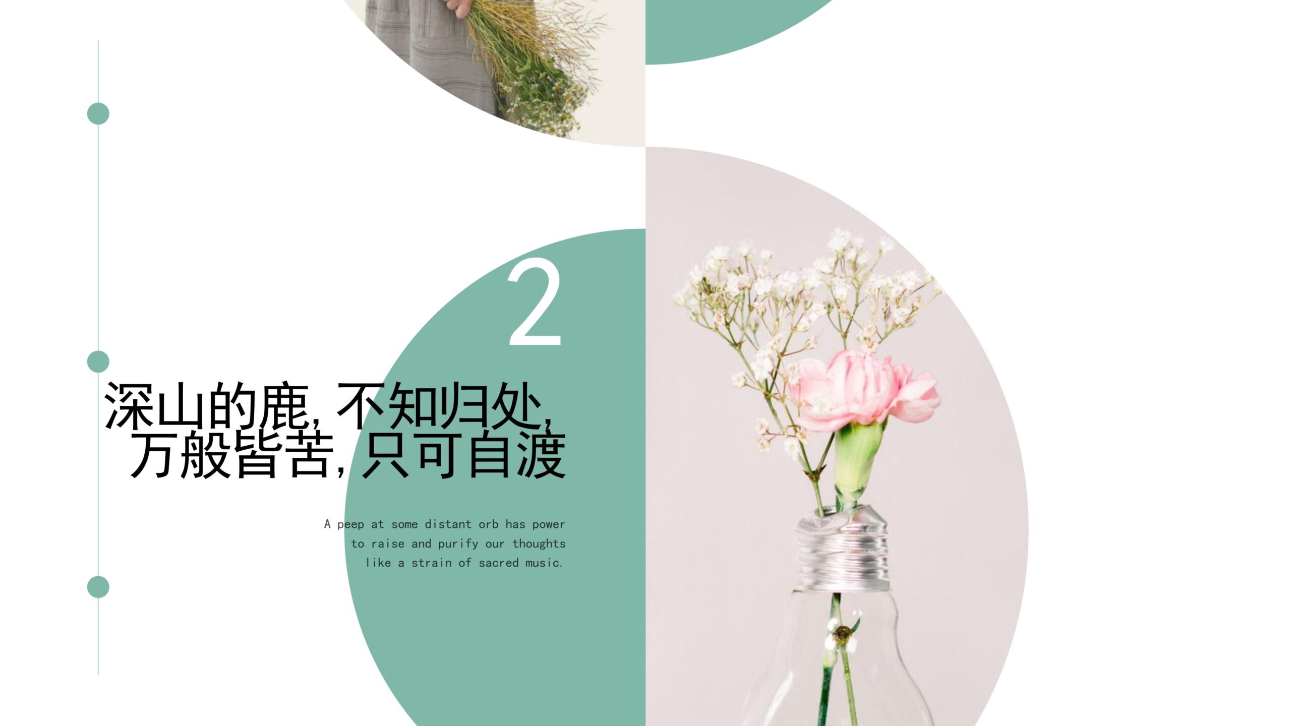 图片[5]-“深山的鹿，不知归处”创意清新画册PPT模板下载-8PPT