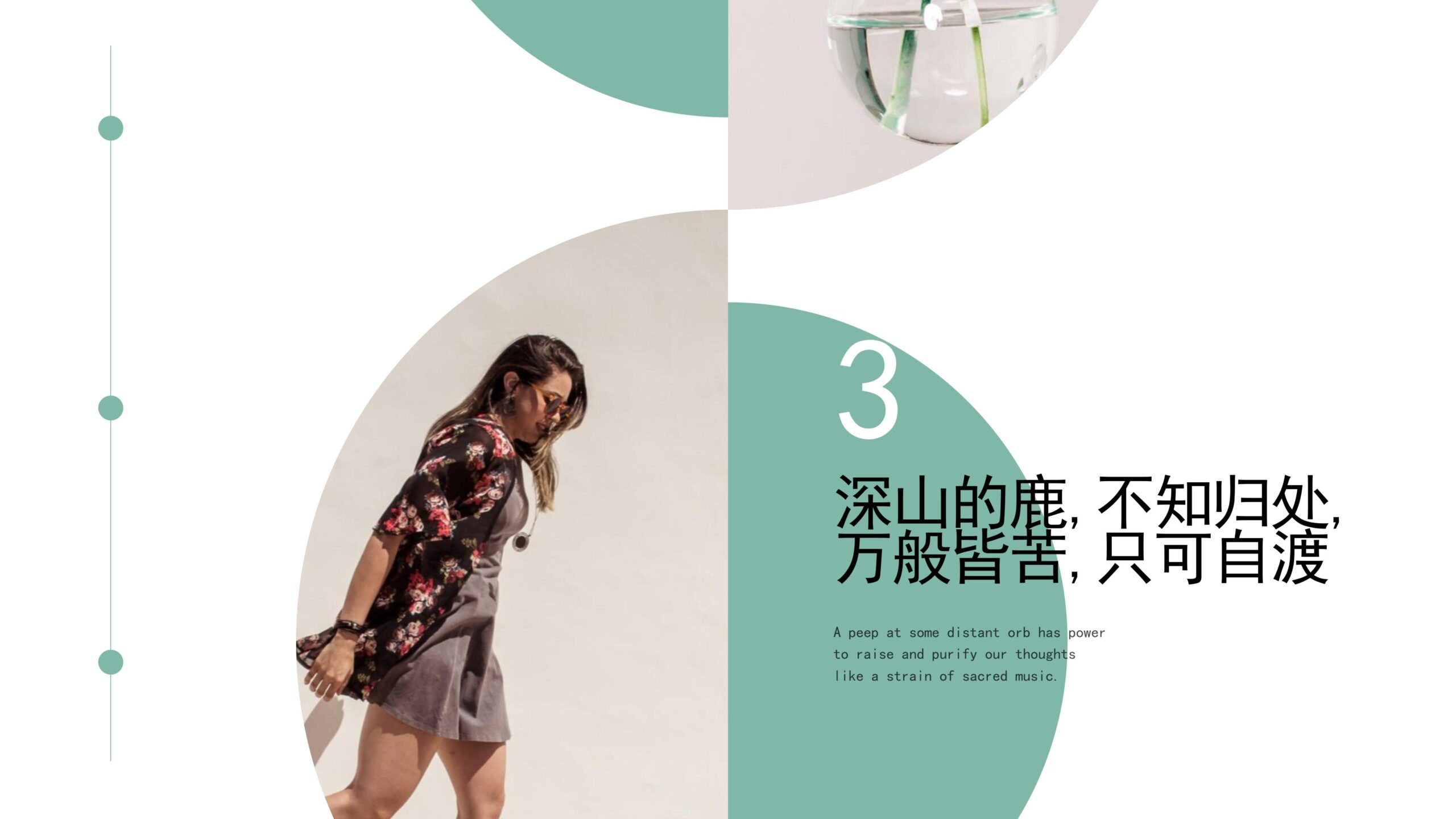 图片[6]-“深山的鹿，不知归处”创意清新画册PPT模板下载-8PPT