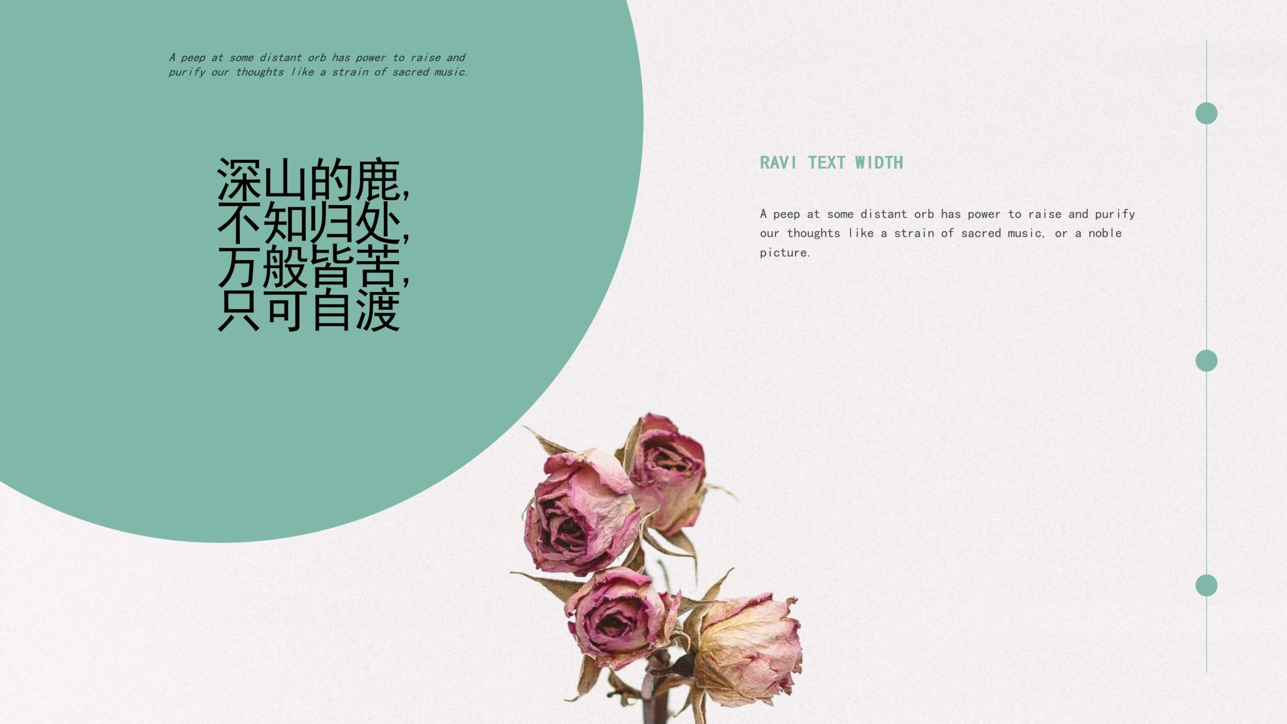 图片[7]-“深山的鹿，不知归处”创意清新画册PPT模板下载-8PPT