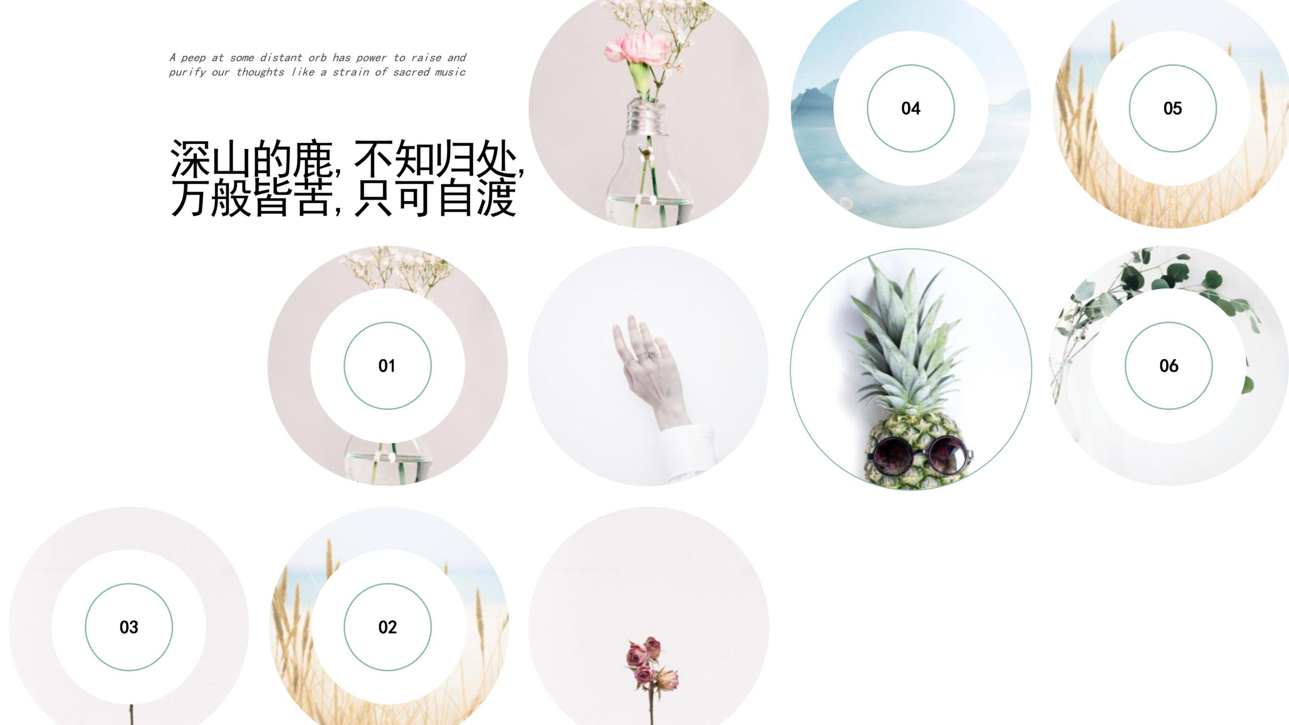 图片[15]-“深山的鹿，不知归处”创意清新画册PPT模板下载-8PPT