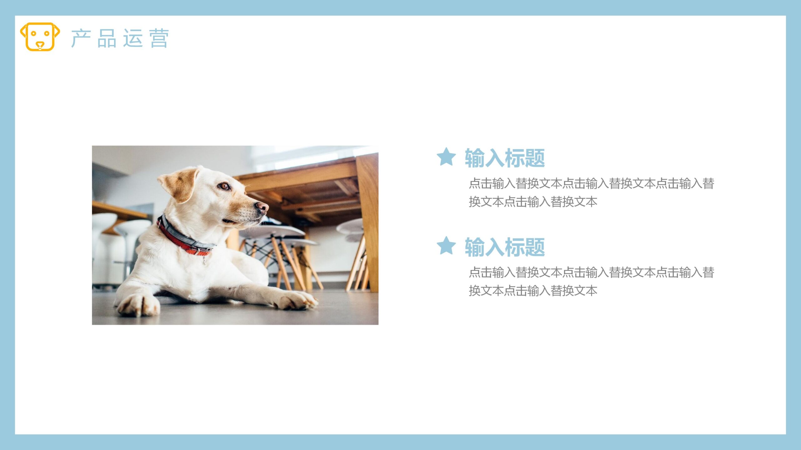 图片[20]-宠物狗狗背景的杂志风宠物店介绍PPT模板-8PPT