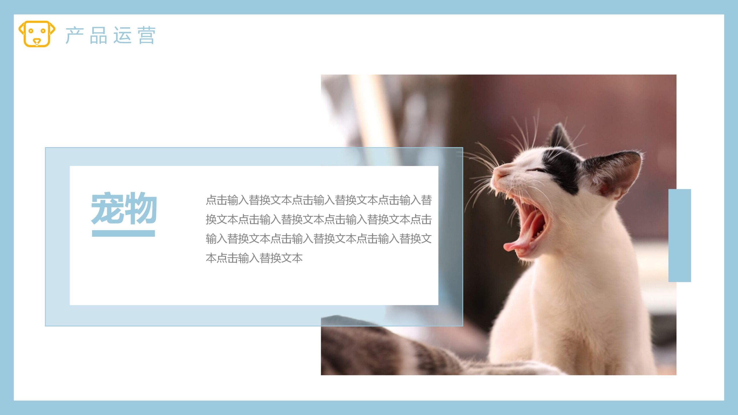 图片[23]-宠物狗狗背景的杂志风宠物店介绍PPT模板-8PPT