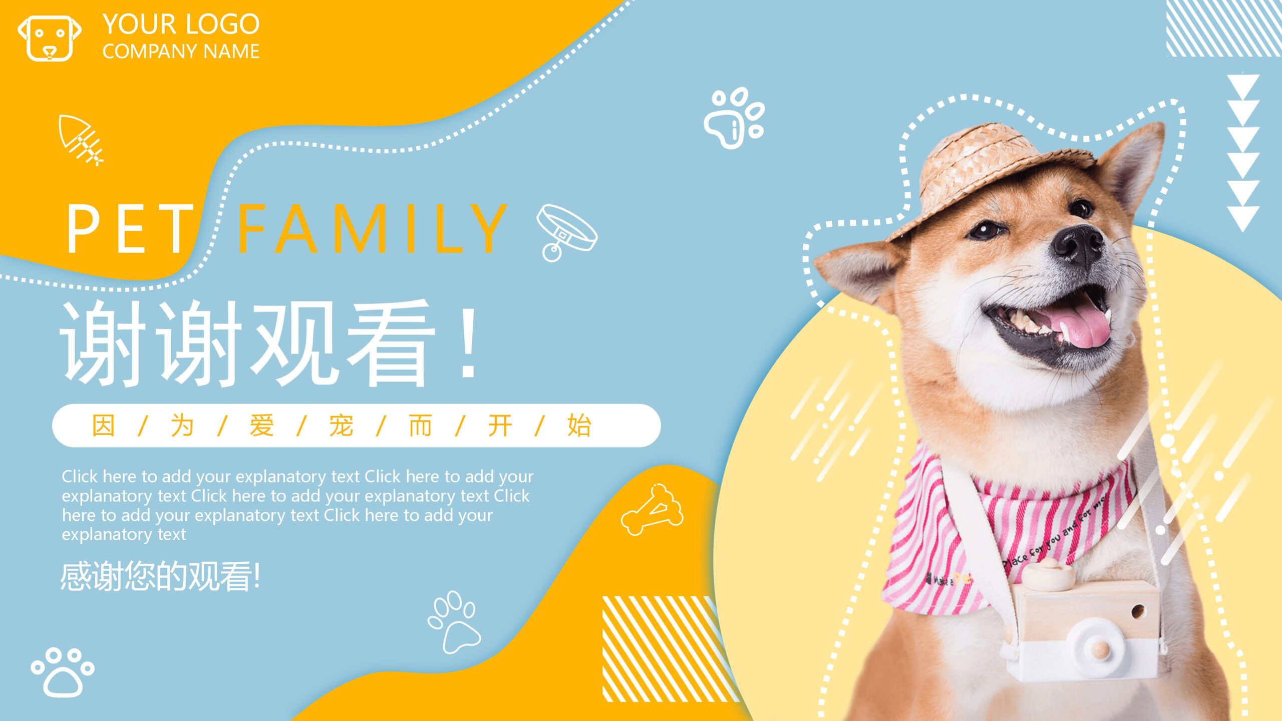 图片[24]-宠物狗狗背景的杂志风宠物店介绍PPT模板-8PPT