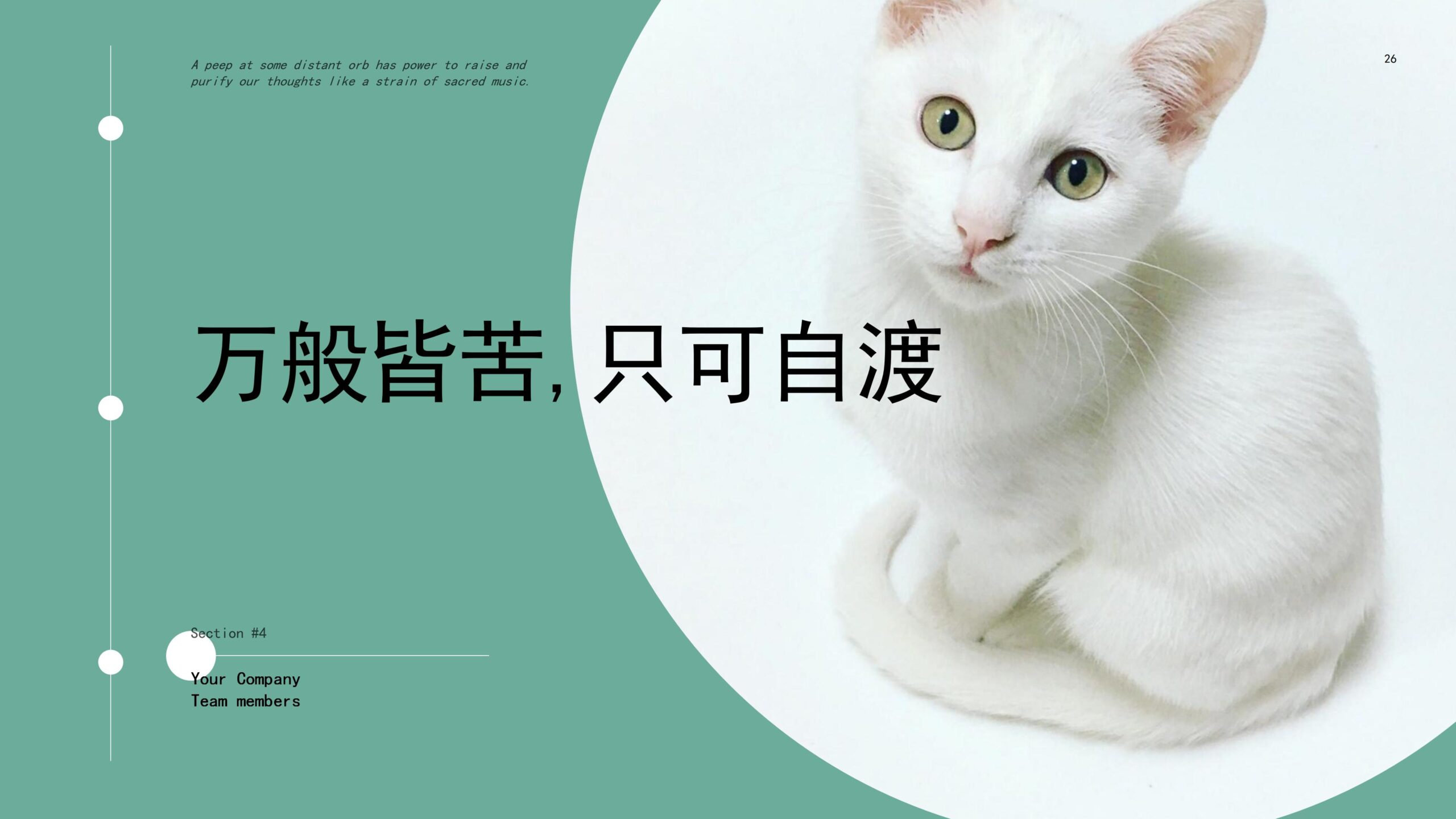 图片[26]-“深山的鹿，不知归处”创意清新画册PPT模板下载-8PPT